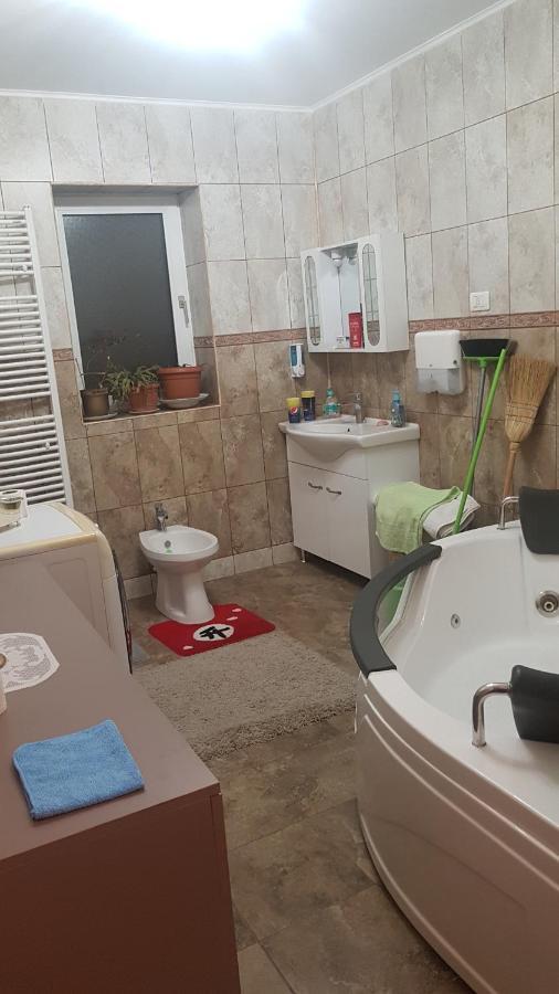 Casa Cojanu Hotel Petrosani Ngoại thất bức ảnh