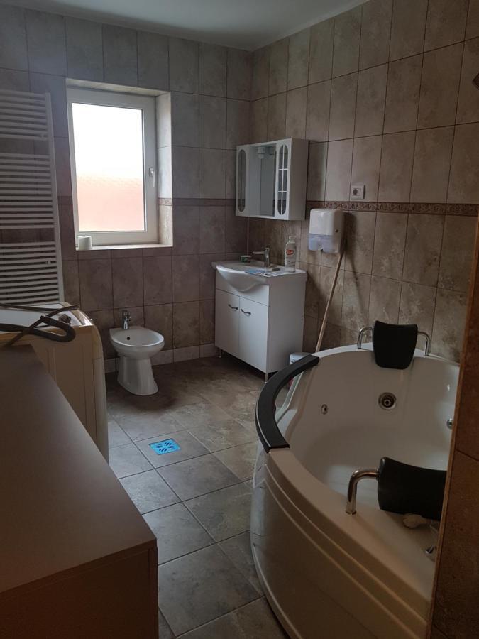Casa Cojanu Hotel Petrosani Ngoại thất bức ảnh