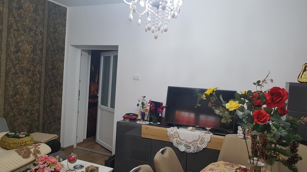 Casa Cojanu Hotel Petrosani Ngoại thất bức ảnh