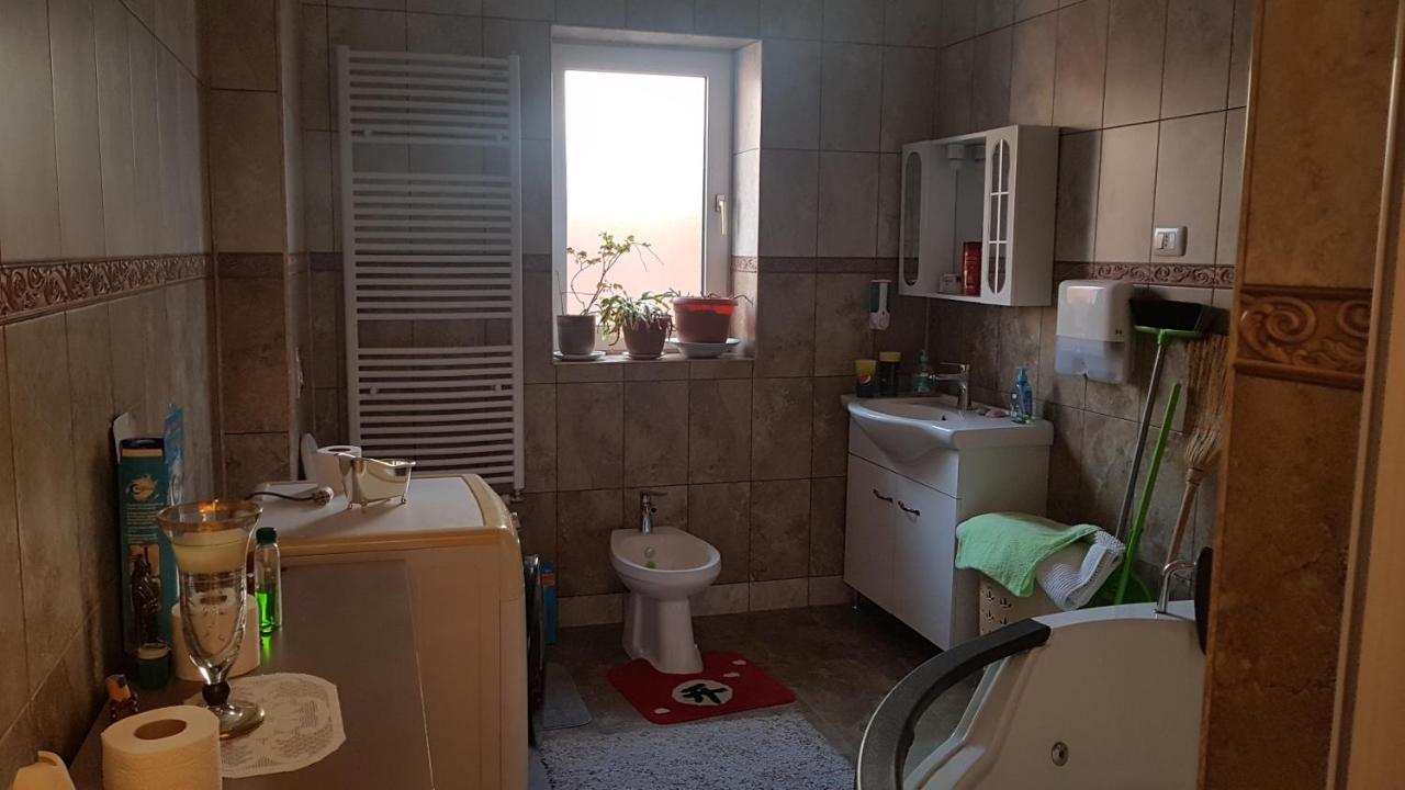 Casa Cojanu Hotel Petrosani Ngoại thất bức ảnh
