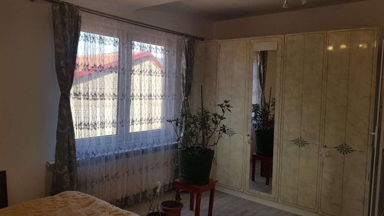 Casa Cojanu Hotel Petrosani Ngoại thất bức ảnh