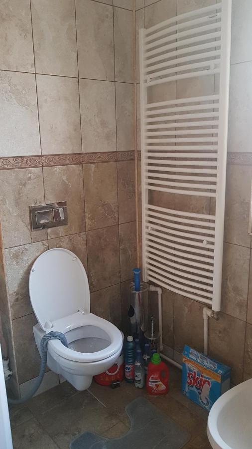 Casa Cojanu Hotel Petrosani Ngoại thất bức ảnh