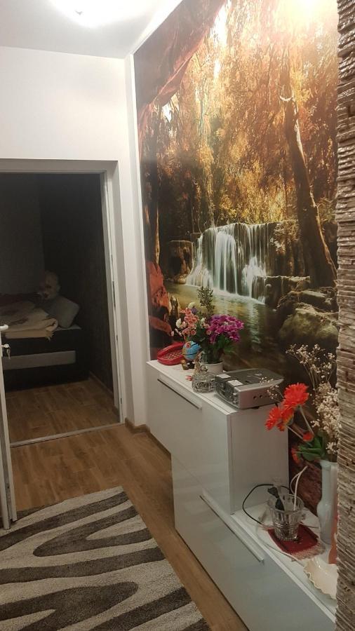 Casa Cojanu Hotel Petrosani Ngoại thất bức ảnh